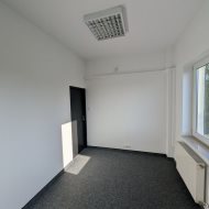Lokal na wynajem